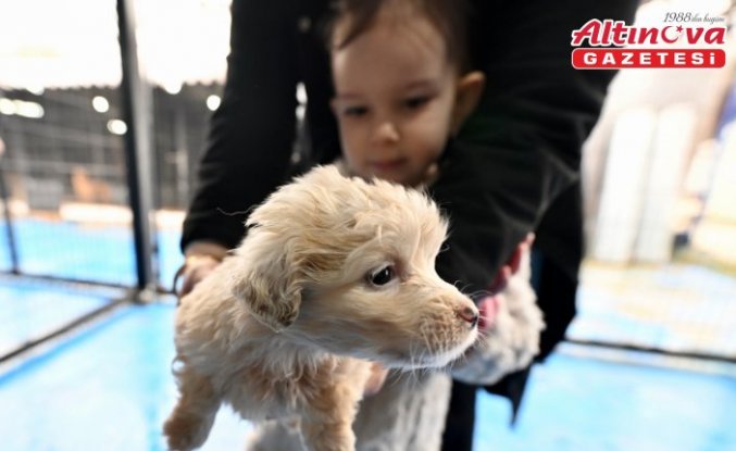 Çocuklar “can dostlar“ sayesinde dijital bağımlılıktan uzaklaşıyor