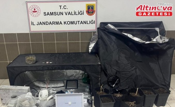 Samsun'da uyuşturucu operasyonunda 1 zanlı yakalandı