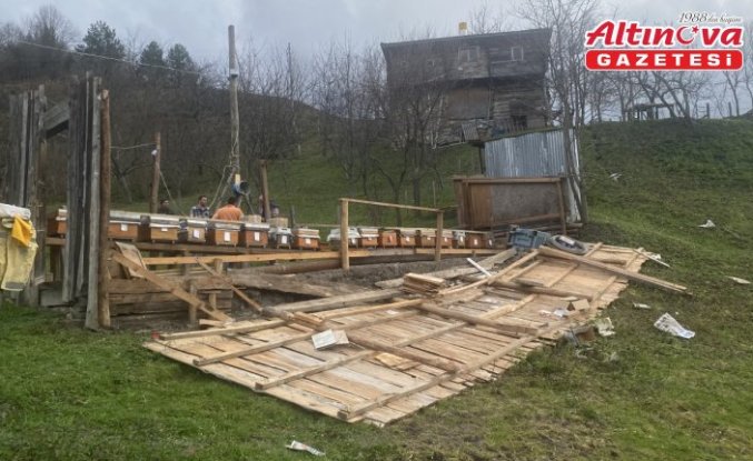 Sinop'ta kovanların yerleştirildiği arılığın rüzgarda uçması güvenlik kamerasında
