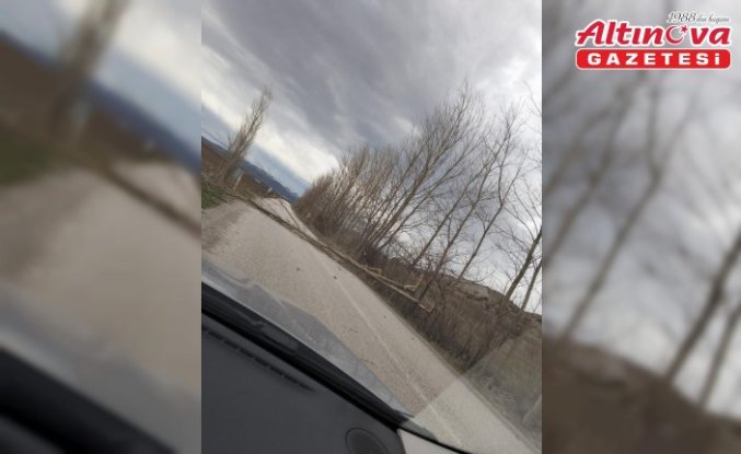 Yeşilyurt'ta şiddetli rüzgar nedeniyle yola devrilen ağaçları vatandaşlar kaldırdı