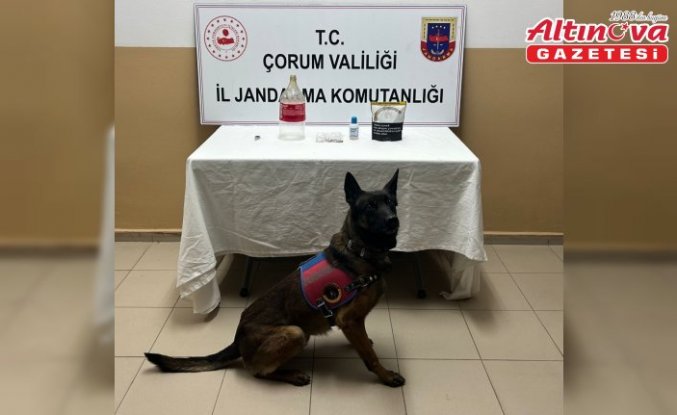 Alaca'da uyuşturucu operasyonunda 1 kişi yakalandı