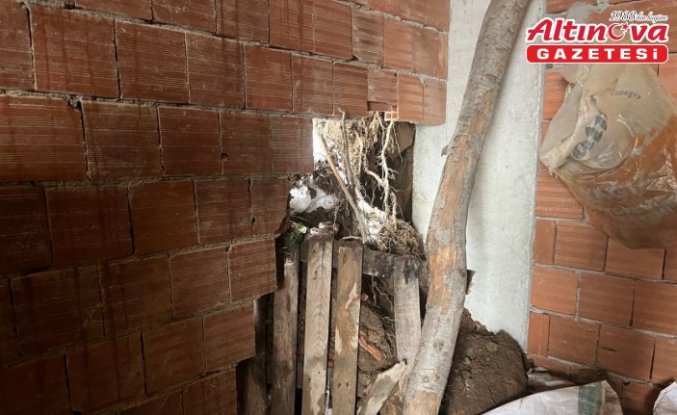 Çatalpınar'da ağılın çökmesi sonucu 4 küçükbaş hayvan telef oldu