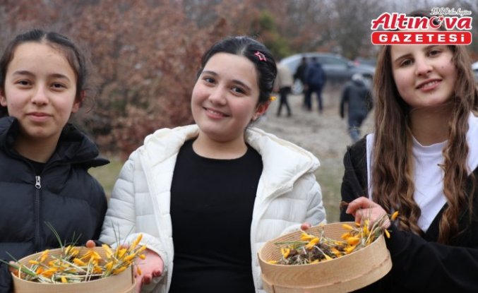 Çorum'da Hititlerden kaldığı düşünülen “Çiğdem Gezmesi“ etkinliği düzenlendi