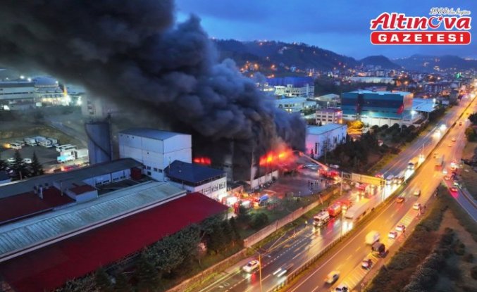Trabzon'da fındık fabrikasının deposunda çıkan yangına müdahale ediliyor