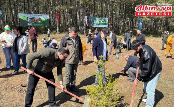 İhsangazi'de “Dünya Ormancılık Günü“ etkinliği düzenlendi