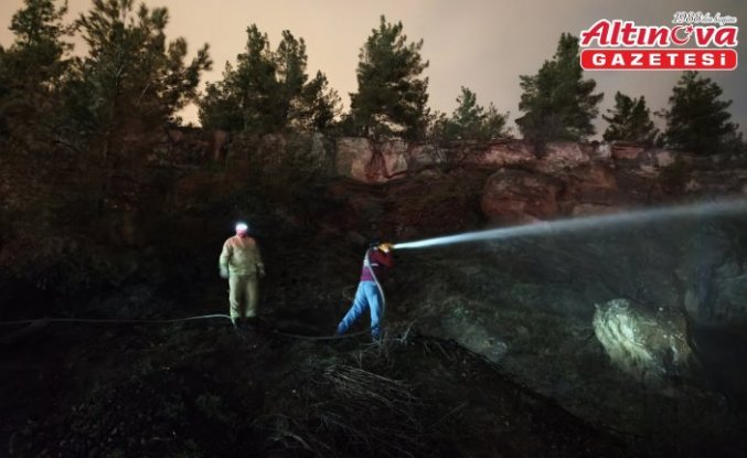 Karabük'te ormanda çıkan örtü yangınında 1 dekarlık alan zarar gördü