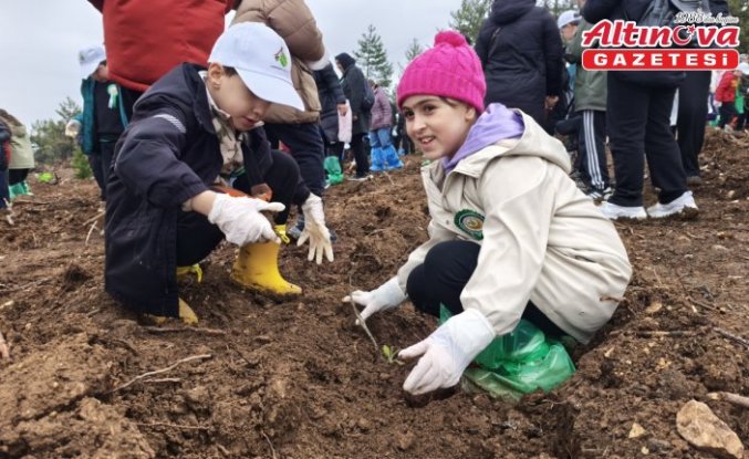 Karabük'te yanan ormanlık alana 2 bin 26 fidan dikildi