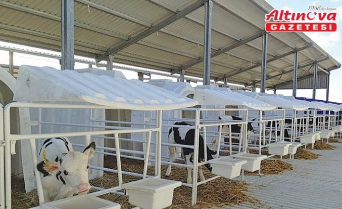 Karmod Polonya'ya buzağı kulübeleri ihraç etti