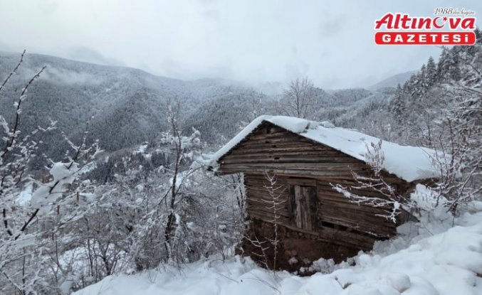 Ordu ve Artvin'de kar etkili oluyor