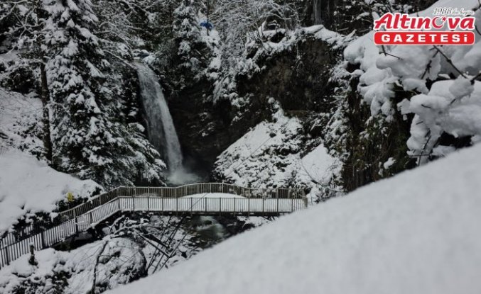 Rize, Artvin, Ordu ve Bayburt'ta soğuk hava etkisini sürdürüyor