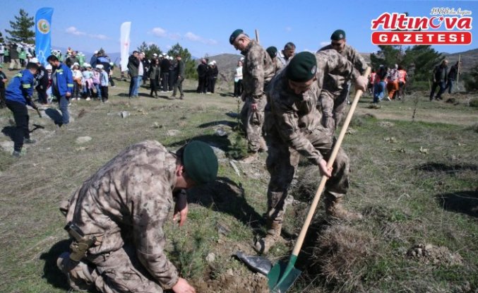 Tokat'ta Orman Haftası'nda fidanlar toprakla buluşturuldu