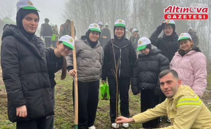 Türkeli'de fidanlar toprakla buluşturuldu