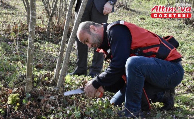 Yükümlüler fındıkta verimin artması için aldıkları eğitimle üretime katkı sunacak