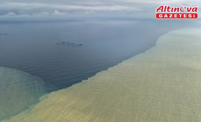Samsun'da yağışın ardından denizin rengi kahverengiye döndü