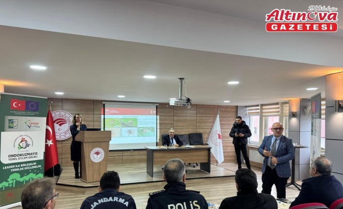 19 Mayıs ilçesinde kahverengi kokarca zararlısı ile mücadele çalışmaları sürüyor