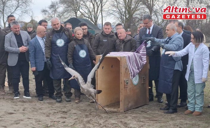 Samsun Kızılırmak Deltası'nda yaban hayvanları doğaya salındı