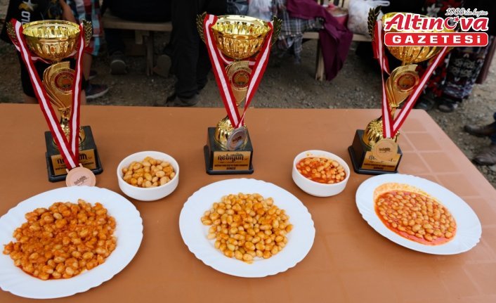 19 Mayıs ilçesinin tarım ürünleri için coğrafi işaret hazırlığı