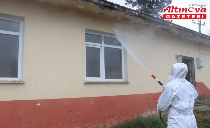 Samsun'da “kahverengi kokarca“ ile mücadele ediliyor