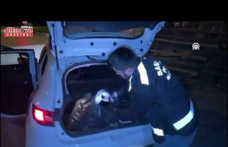 Samsun'da 24 bin sentetik ecza hap ele geçirildi