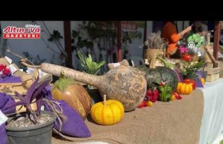 Samsun'da “Atakum Tarım Şenliği“ düzenlendi