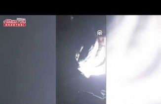 Samsun'da örtü yangınında alevlerin arasında kalan kaplumbağayı itfaiye kurtardı