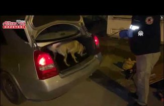 Samsun'da uyuşturucu operasyonunda 15 şüpheli yakalandı