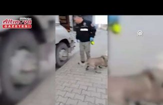 Samsun'da uyuşturucu operasyonunda yakalanan tırın sürücüsü tutuklandı